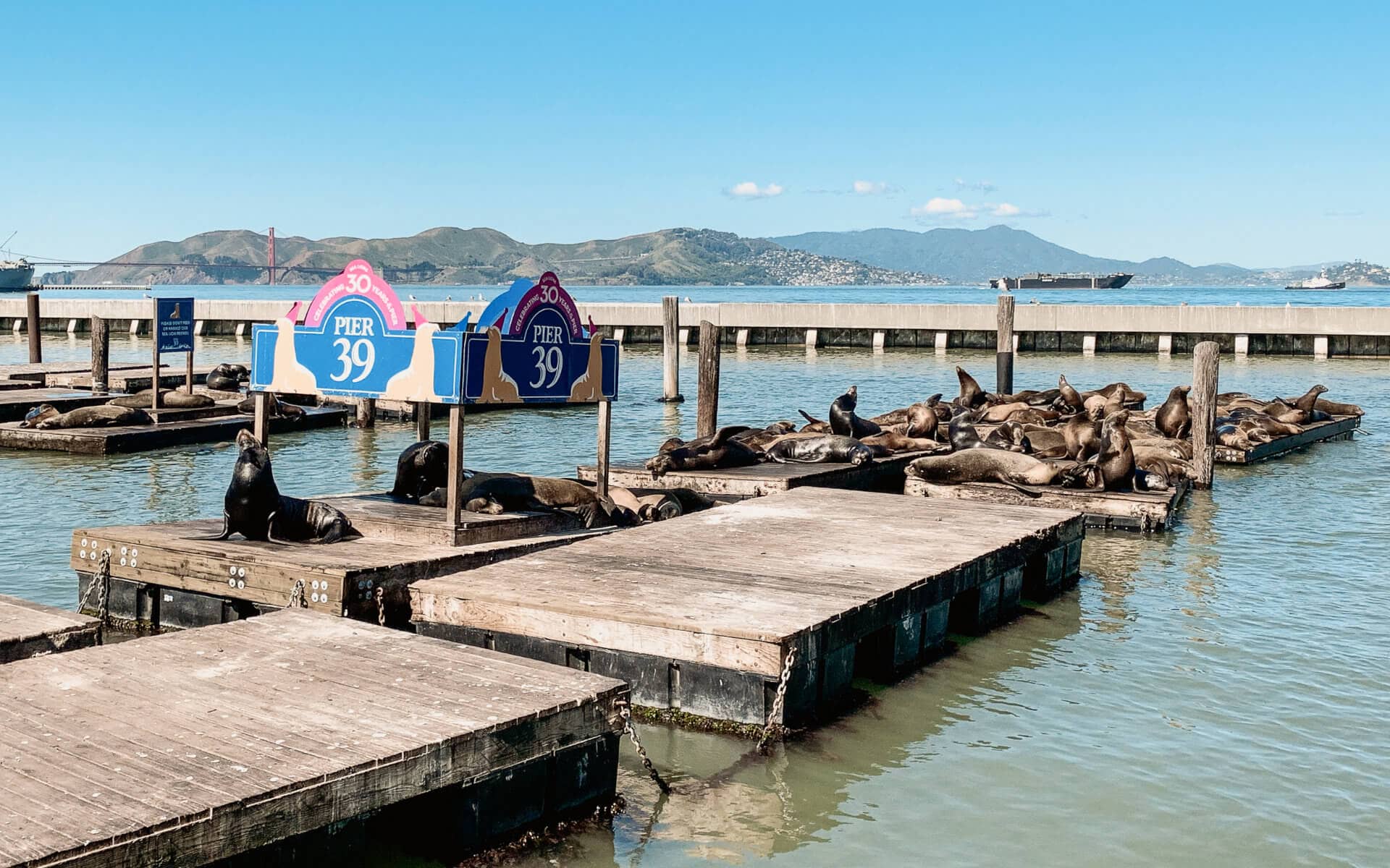San Francisco: Flower Power & Outdoor-Erlebnisse in der „Golden City“